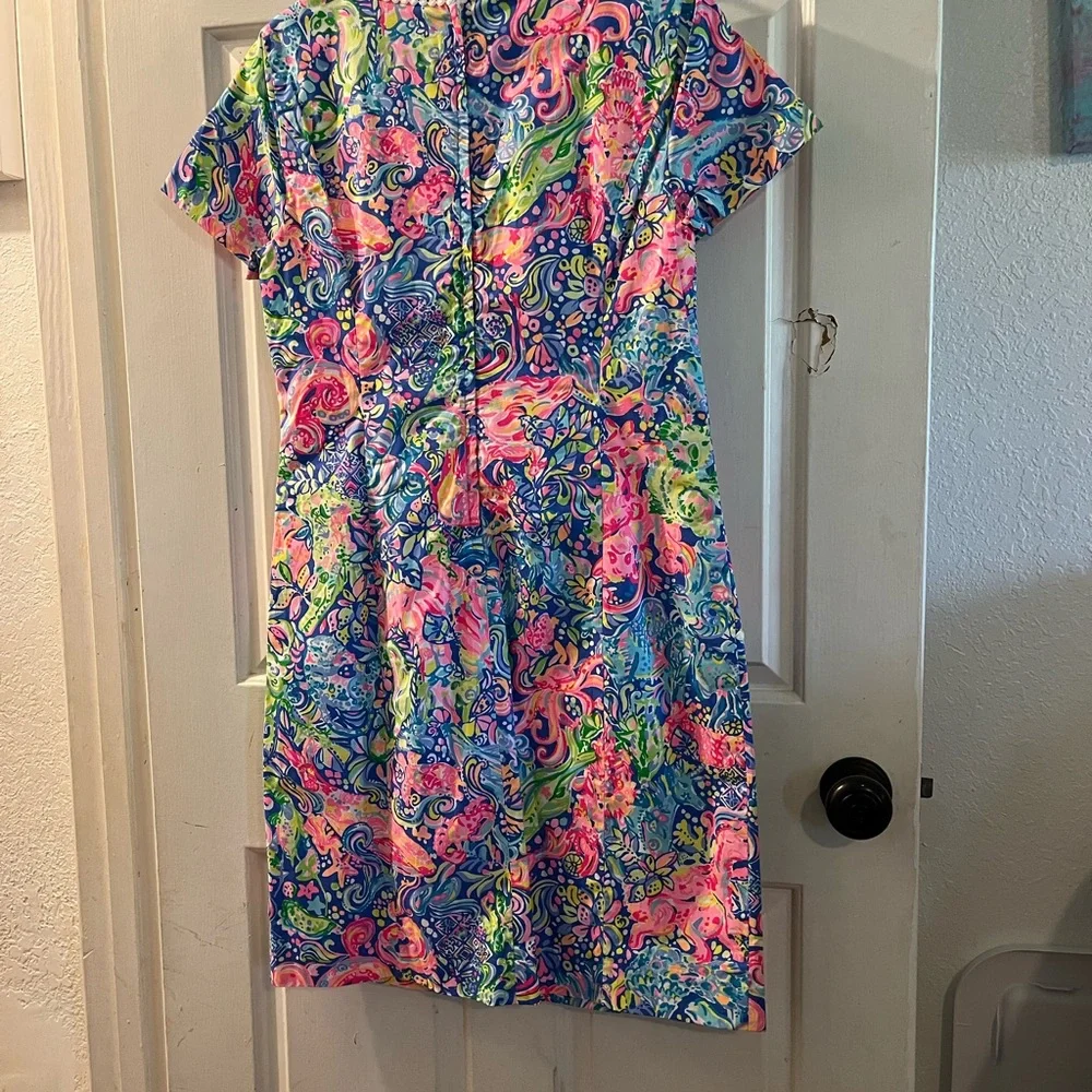 Lilly Pulitzer dress - Picture 4 of 4